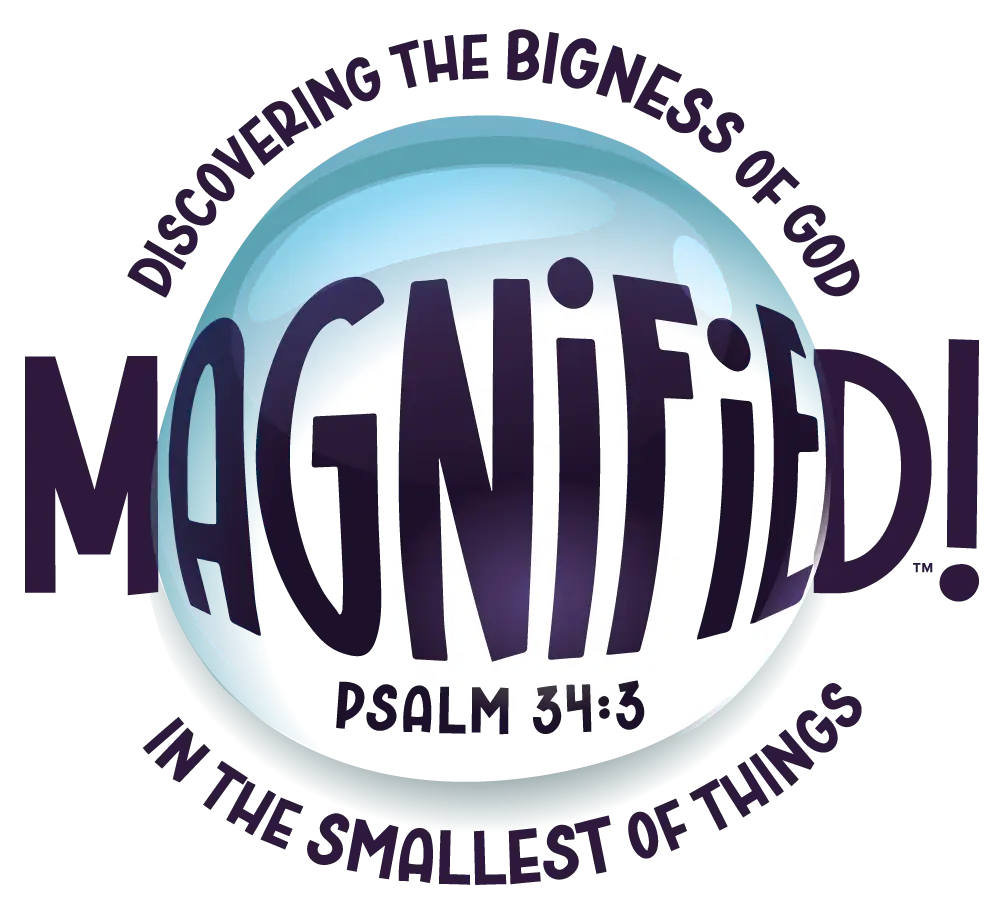 Magnified Logo